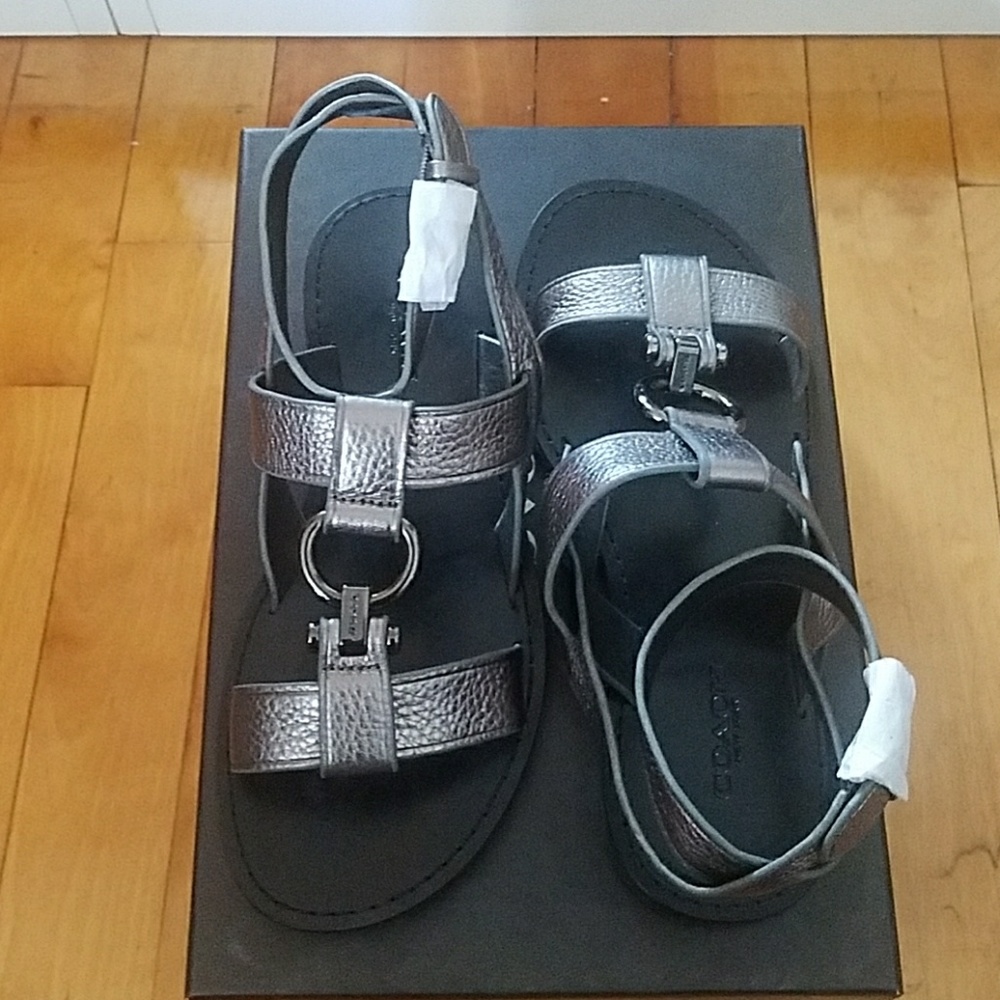 Coach Elaine pebbled leather sandal in size 6, NIB